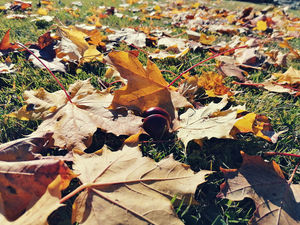 Herbst im Lungau