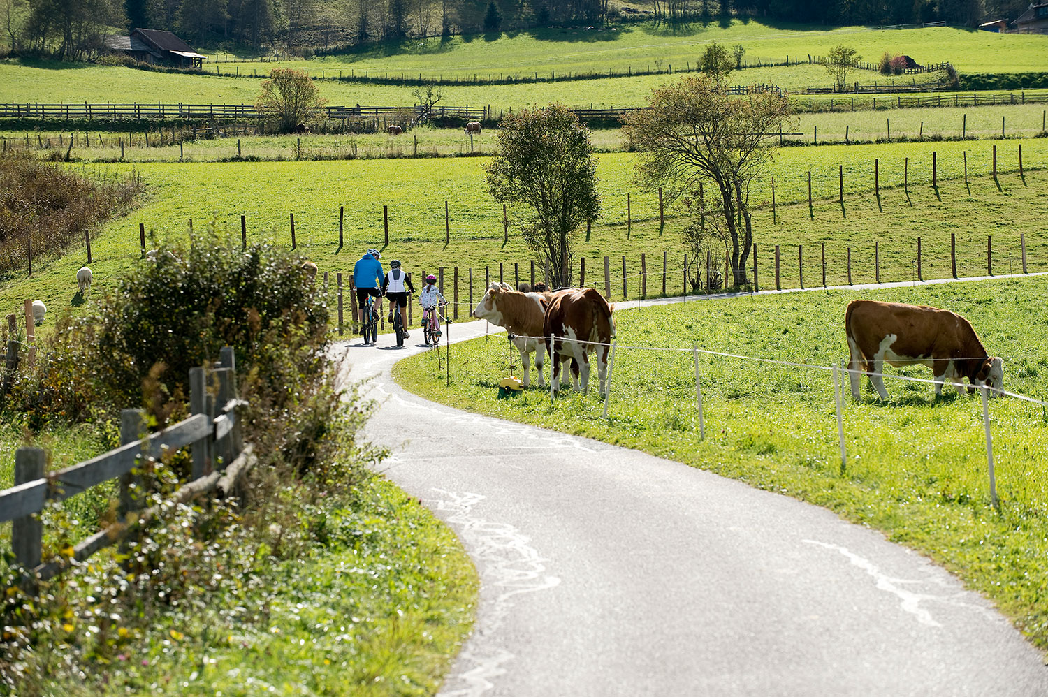 Familienradtour